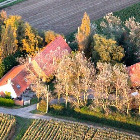 Bed and Breakfast Le Mont Balenberg Noordpeene Екстер'єр фото